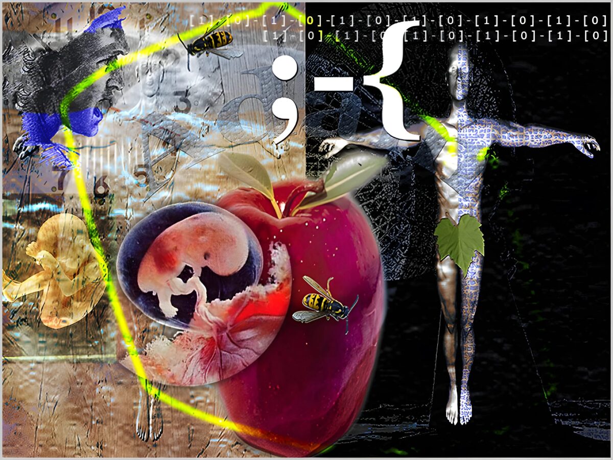 S/T - Détail de l'expo