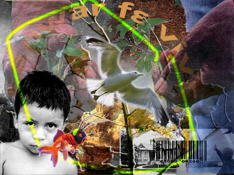 S/T - Détail de l'expo