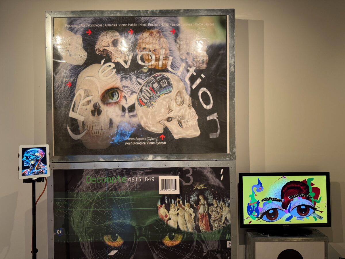 S/T - Détail de l'expo