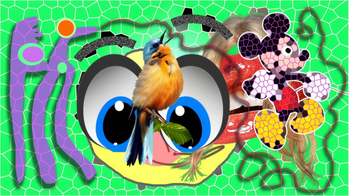 S/T - Détail du vidéogramme