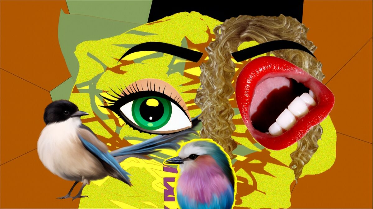 S/T - Détail du vidéogramme