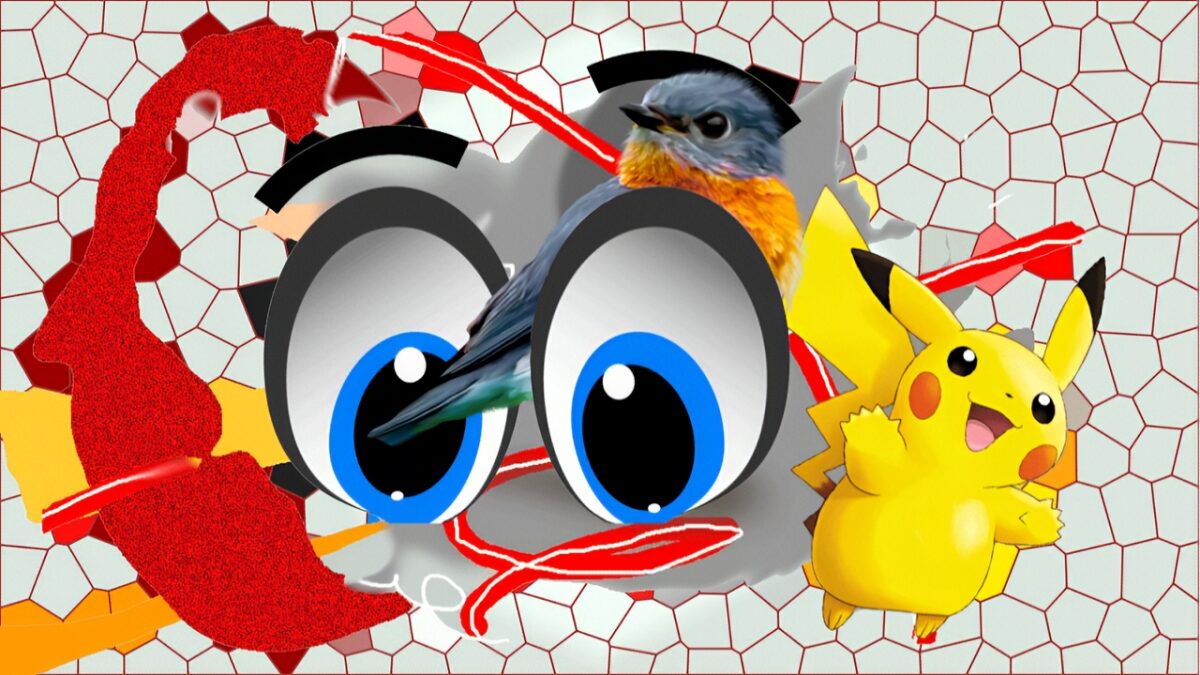 S/T - Détail du vidéogramme