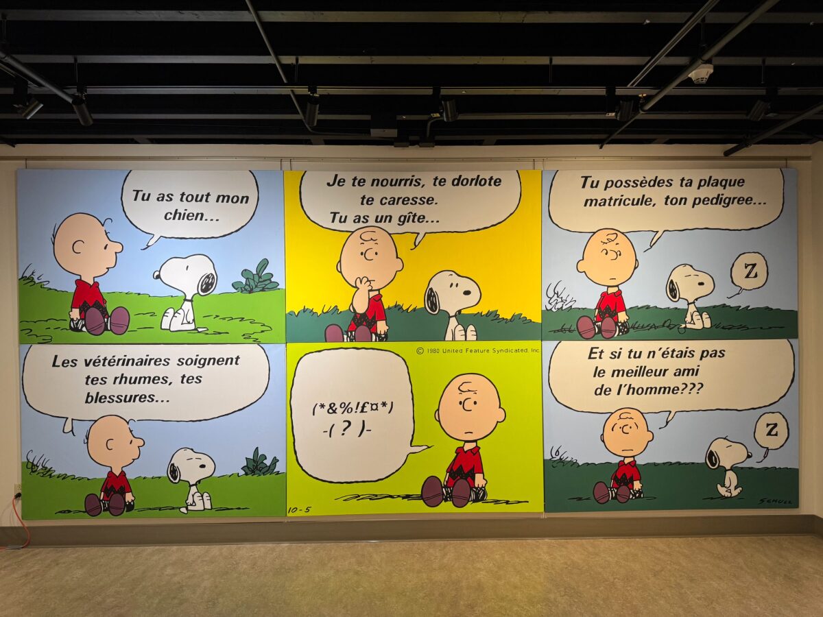 Un Bâtard de Chien en Amérique...