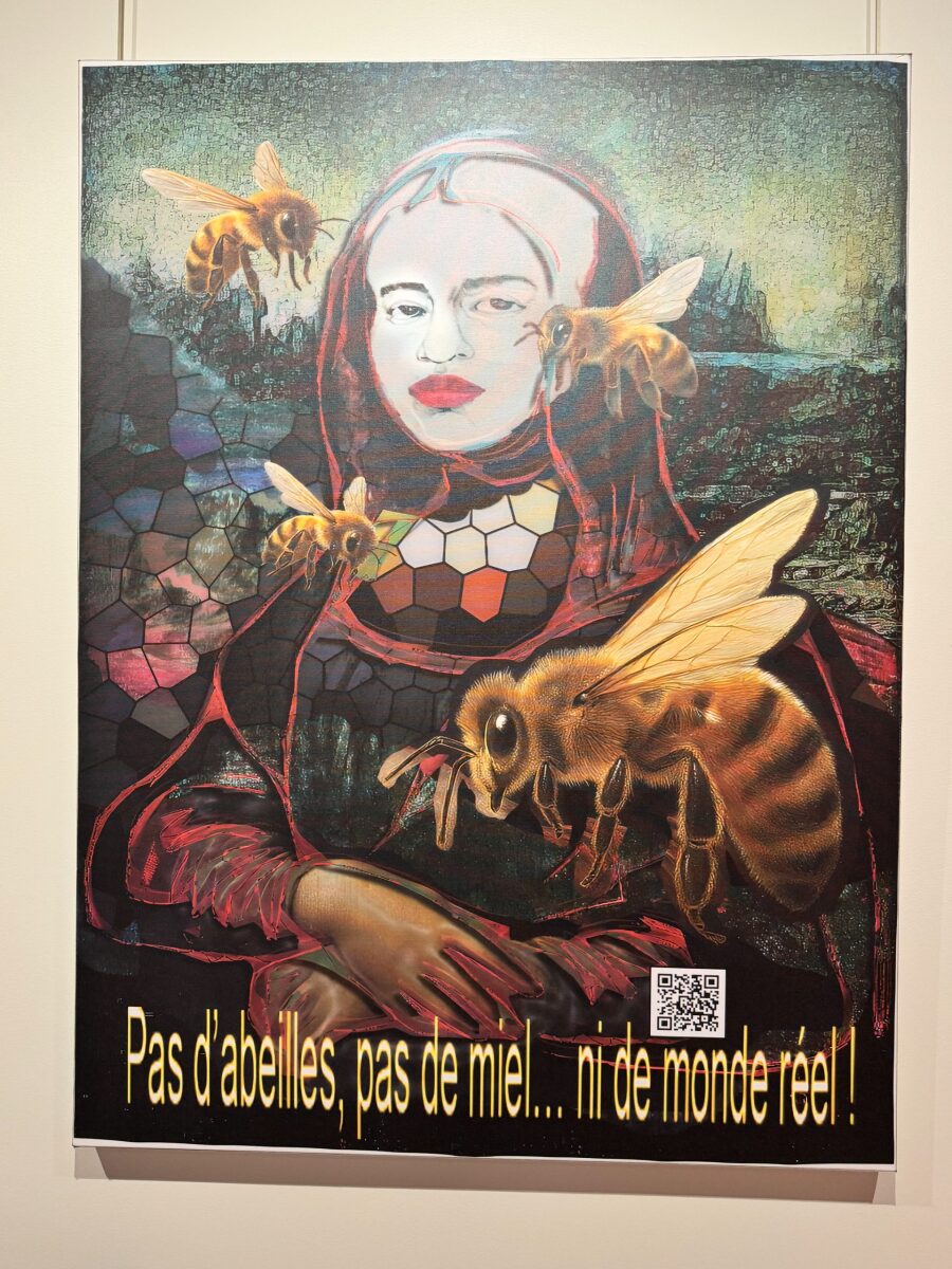 S/T - Détail de l'expo