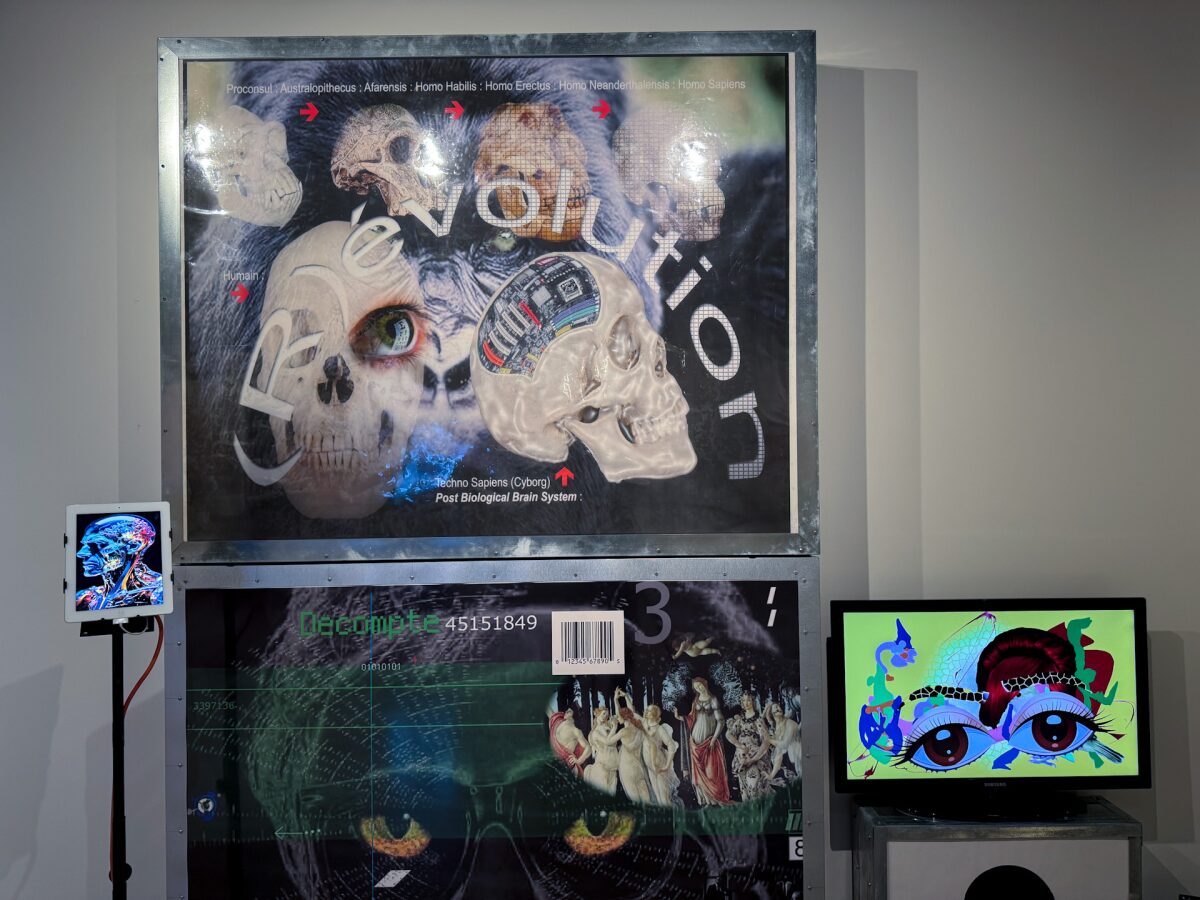 S/T - Détail de l'expo