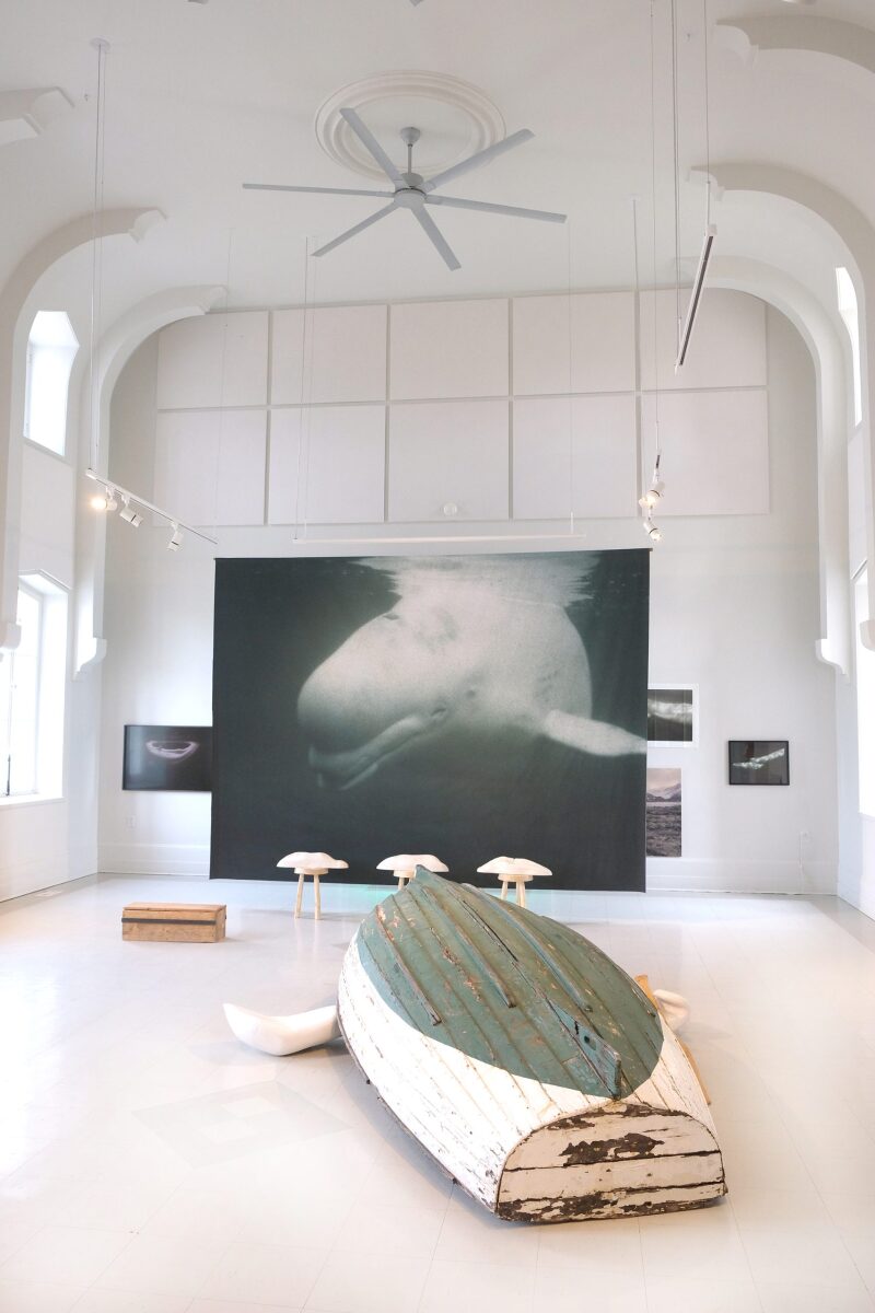 Dans l'œil du béluga, Centre d'art de Kamouraska, 2025