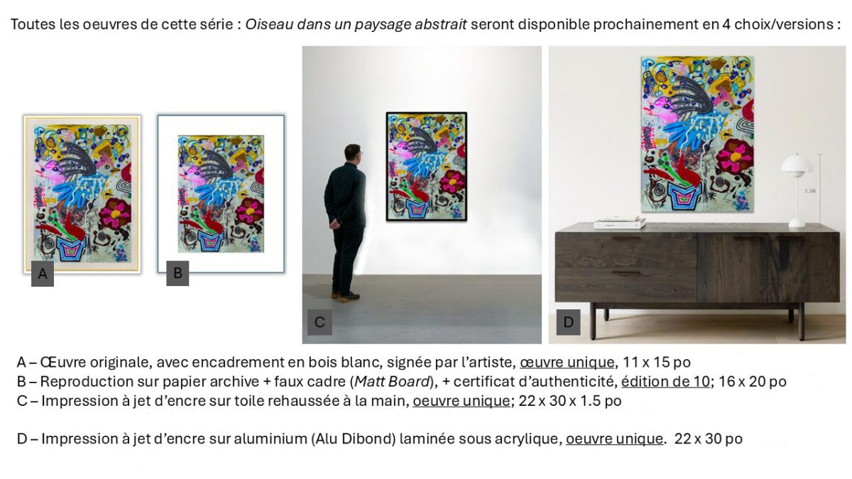 2025/ Projet en développement : Oiseaux dans des paysages abstraits