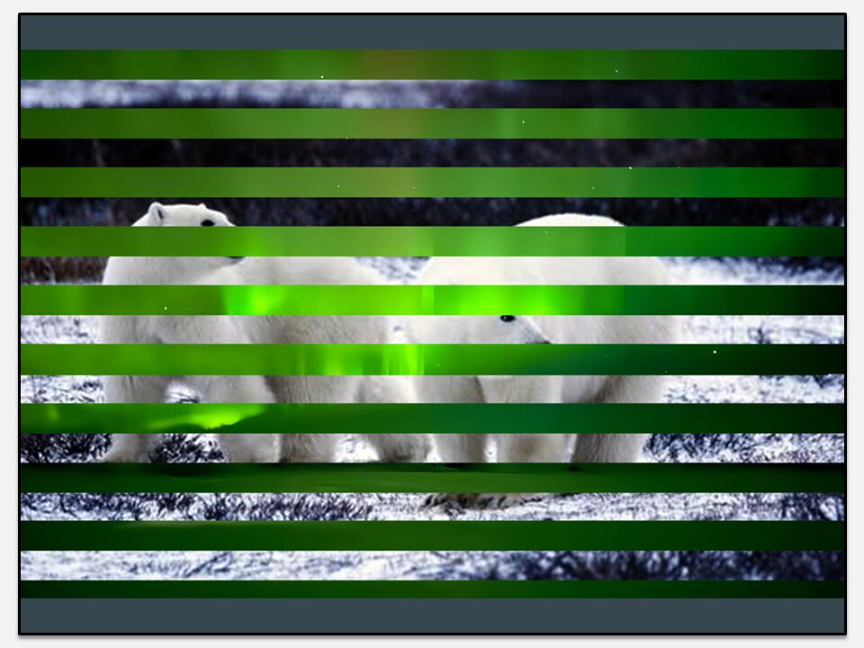 Ours polaires & Étoile du Nord.