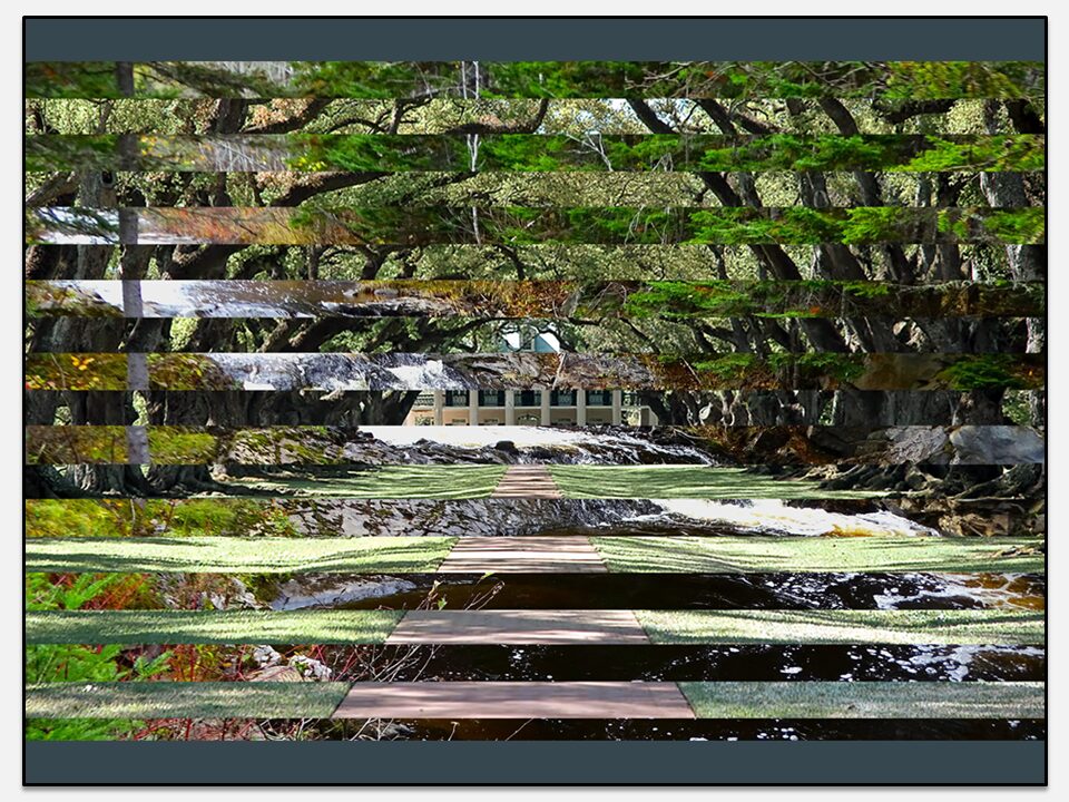 Lafayette & Ruisseau