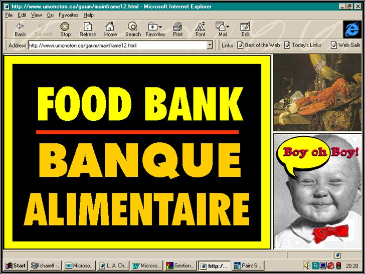 S/T - Détail du projet d'Art Web "Boy oh Boy!"