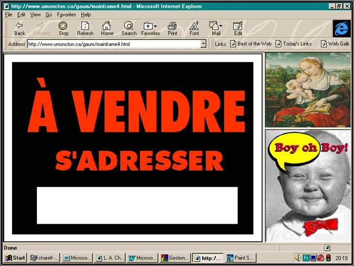 S/T - Détail du projet d'Art Web "Boy oh Boy!"