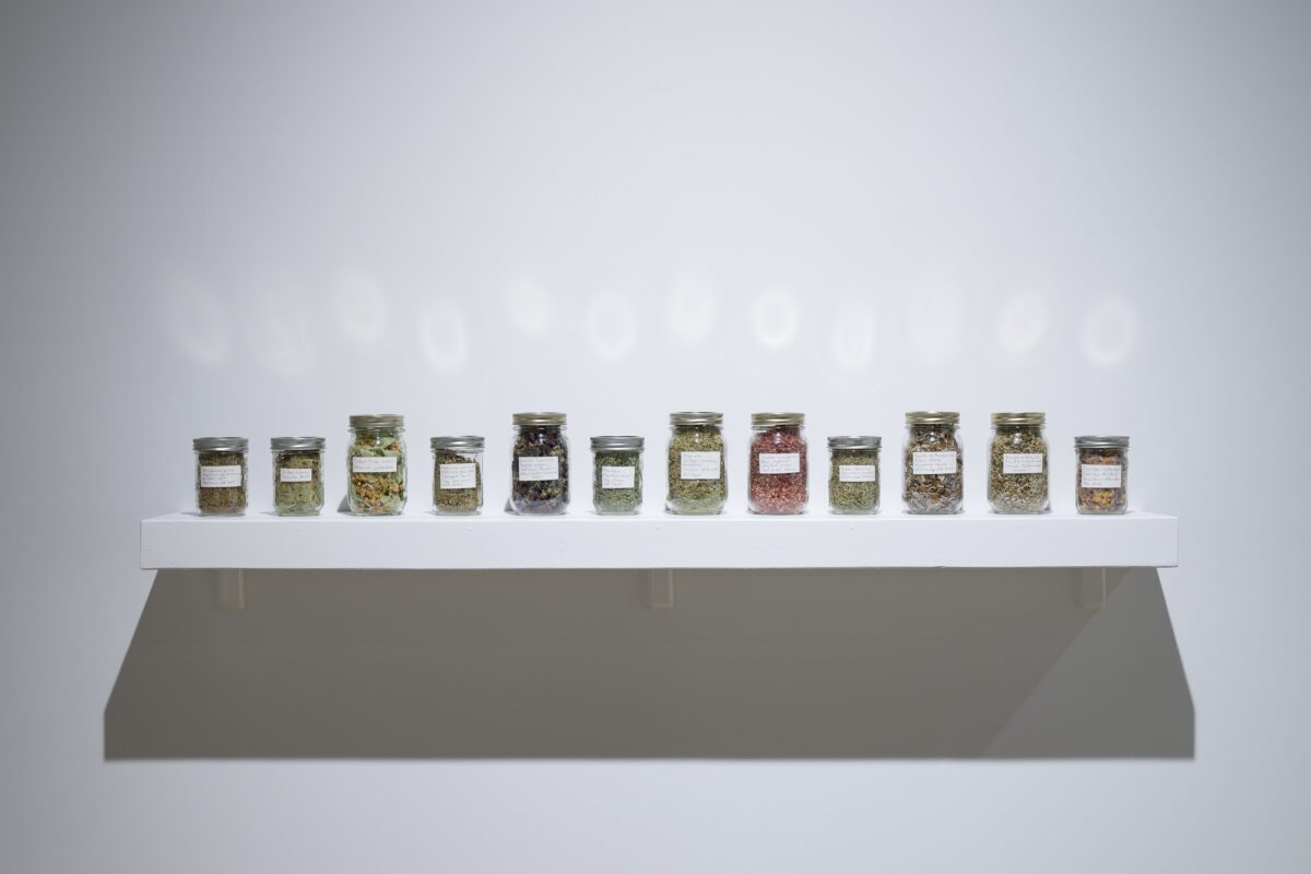 Décomposer ma cueillette d’été