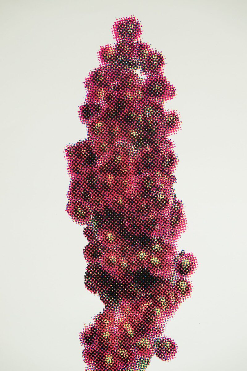 Décomposer ma cueillette d’été: Rhus typhina (Sumac vinaigrier) (détail)