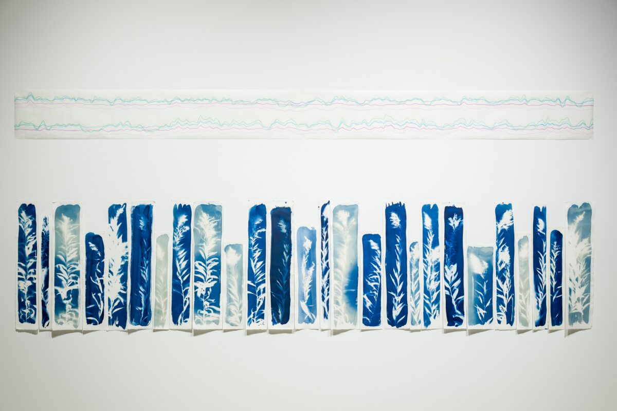 Se rétablir parmi les murmures de la verge d’or, 2025