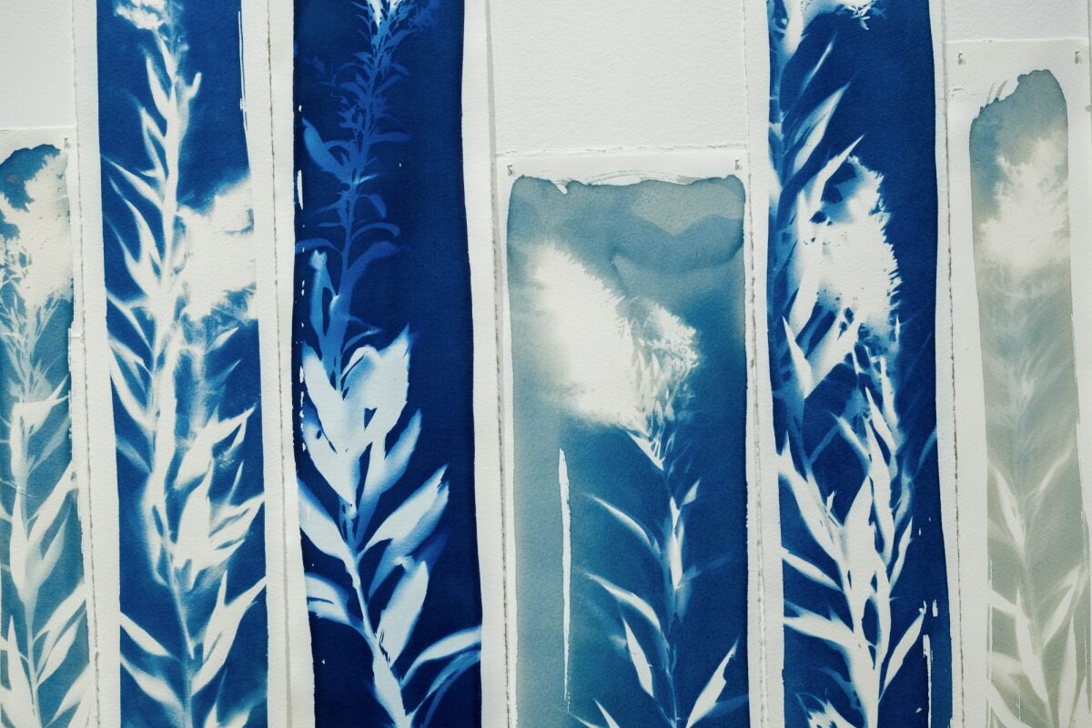 Se rétablir parmi les murmures de la verge d’or (détail), 2025