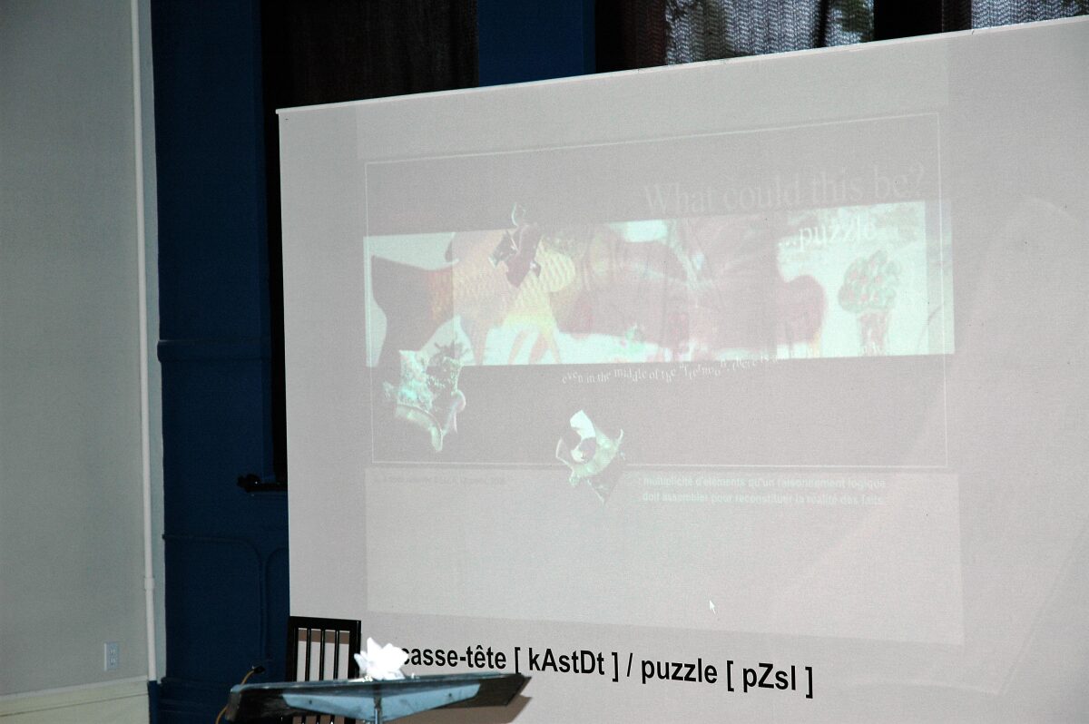 Casse-tête [kAstDt] / puzzle [pZzl ] détail