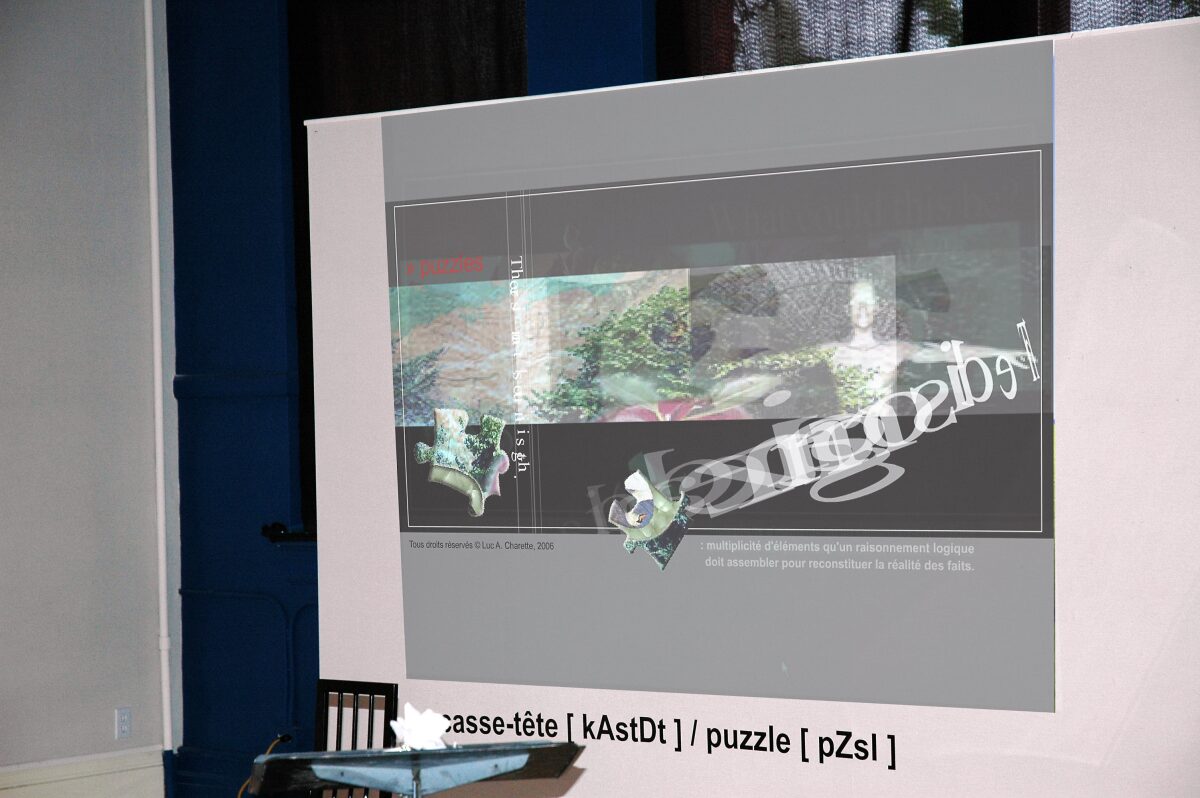 Casse-tête [kAstDt] / puzzle [pZzl ] détail