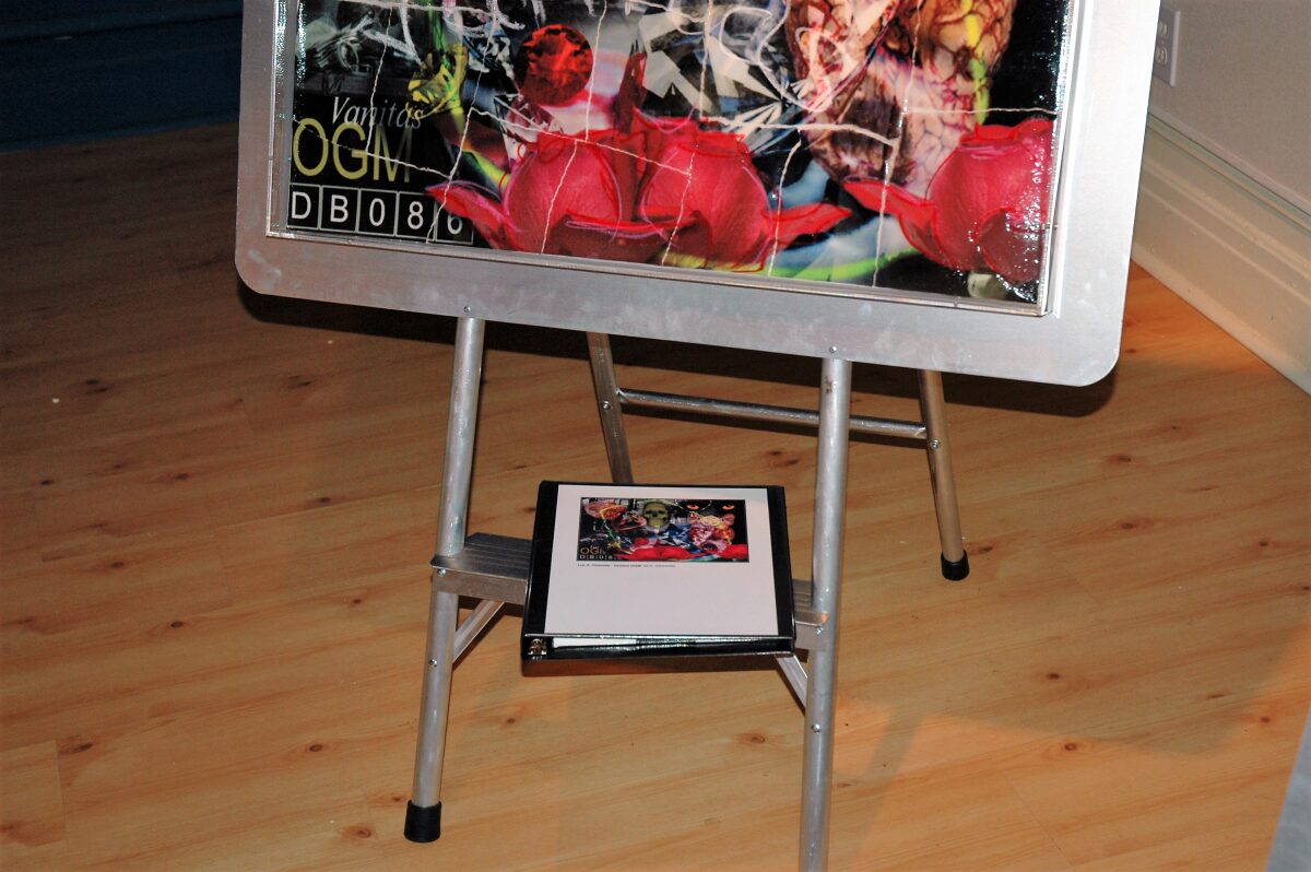 Casse-tête [kAstDt] / puzzle [pZzl ] détail