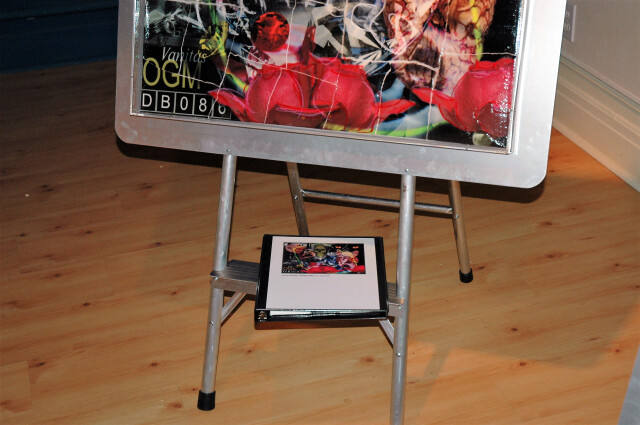 Casse-tête [kAstDt] / puzzle [pZzl ] détail