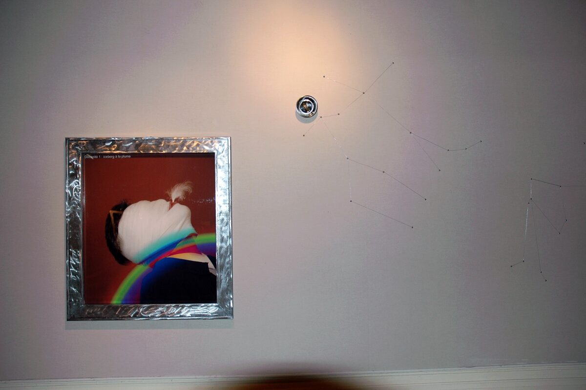 Casse-tête [kAstDt] / puzzle [pZzl ] détail