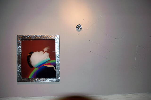 Casse-tête [kAstDt] / puzzle [pZzl ] détail