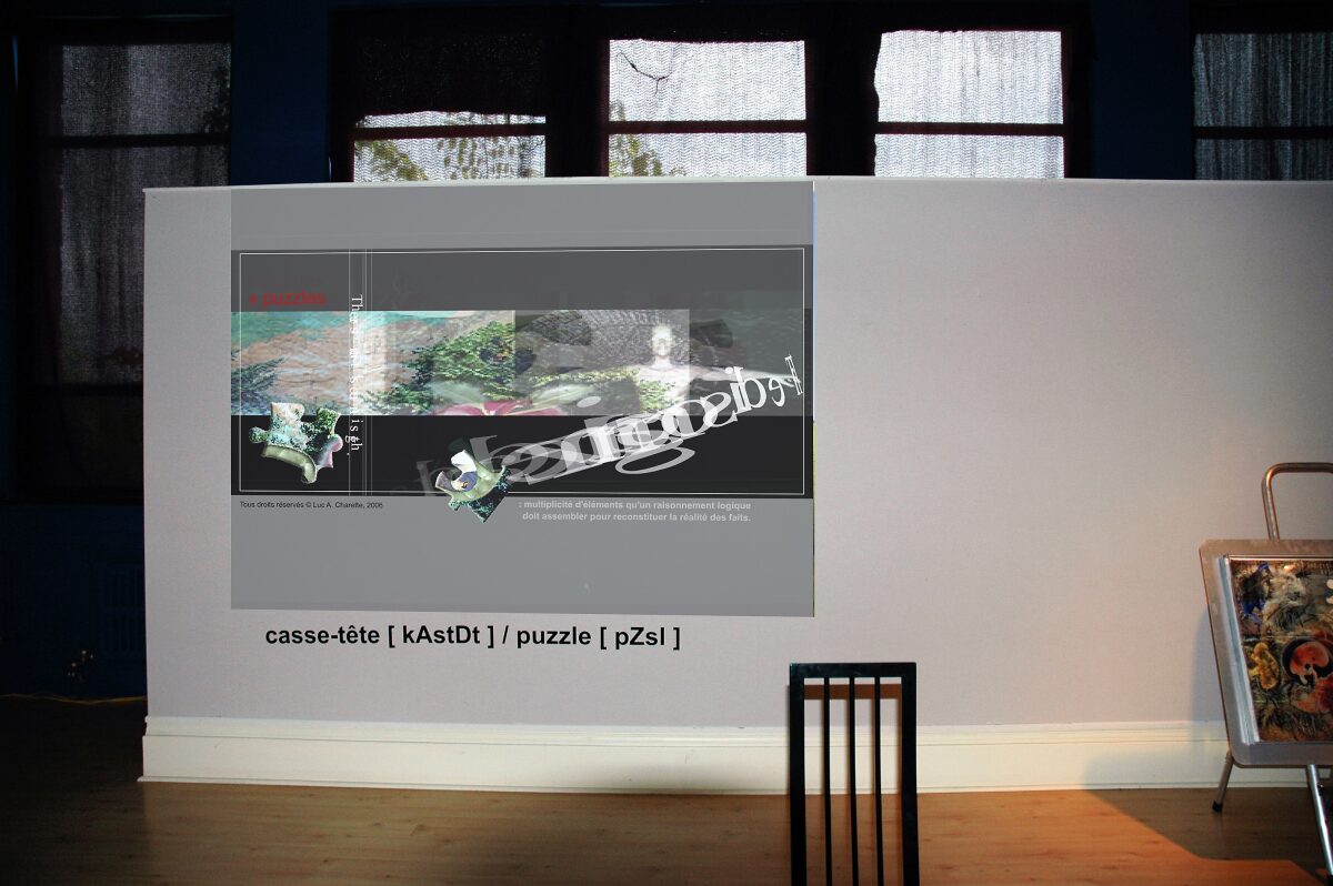 Casse-tête [kAstDt] / puzzle [pZzl ] détail