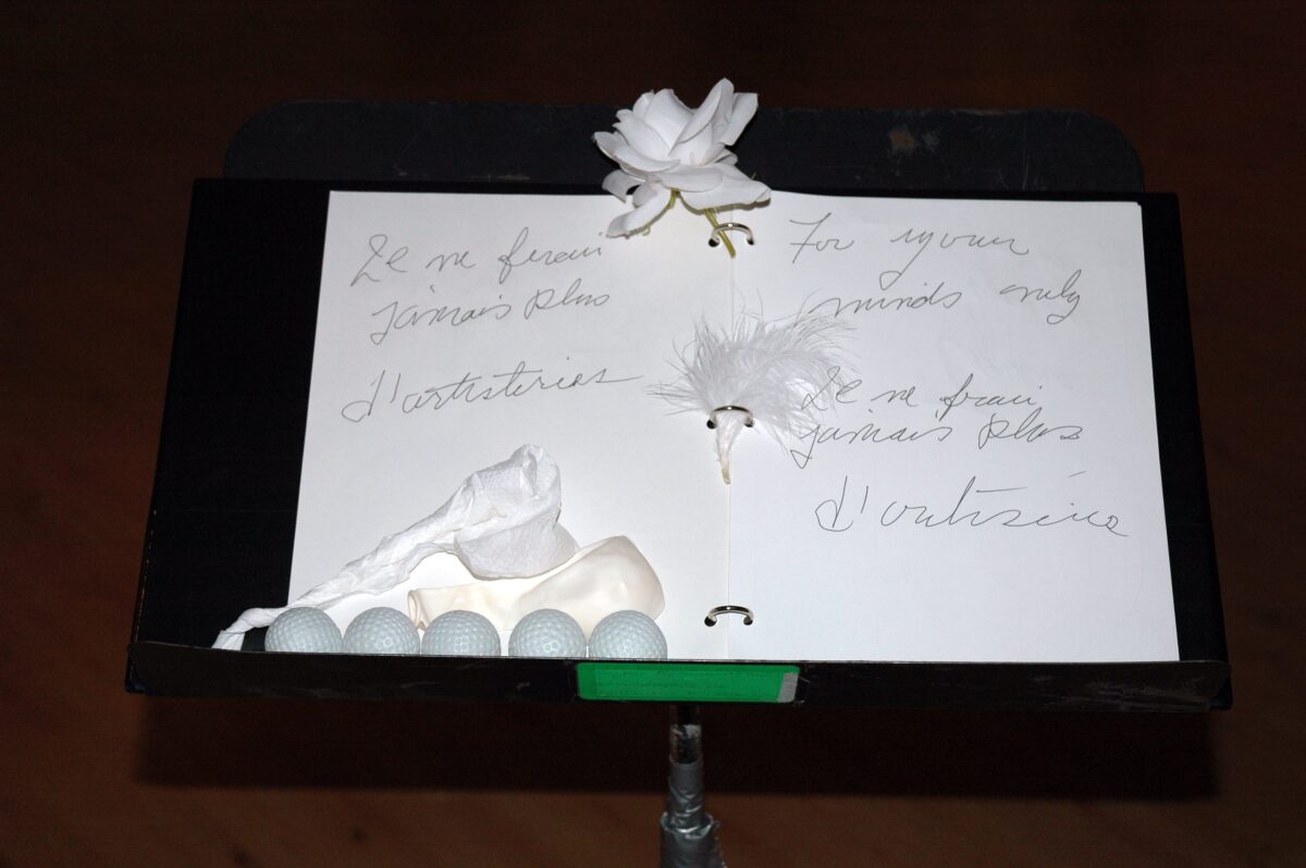 Casse-tête [kAstDt] / puzzle [pZzl ] détail