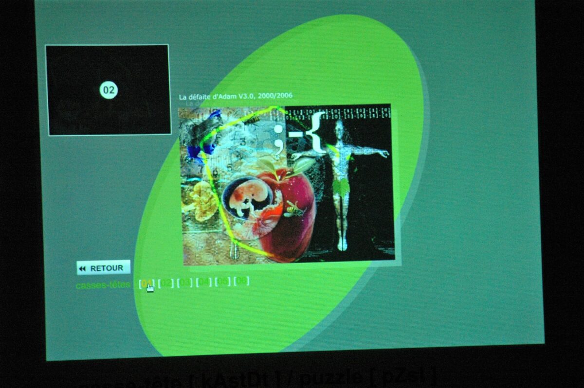 Casse-tête [kAstDt] / puzzle [pZzl ] détail