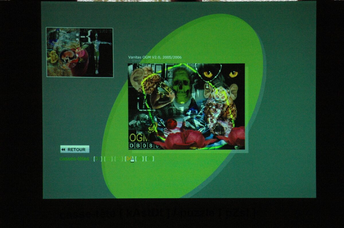 Casse-tête [kAstDt] / puzzle [pZzl ] détail