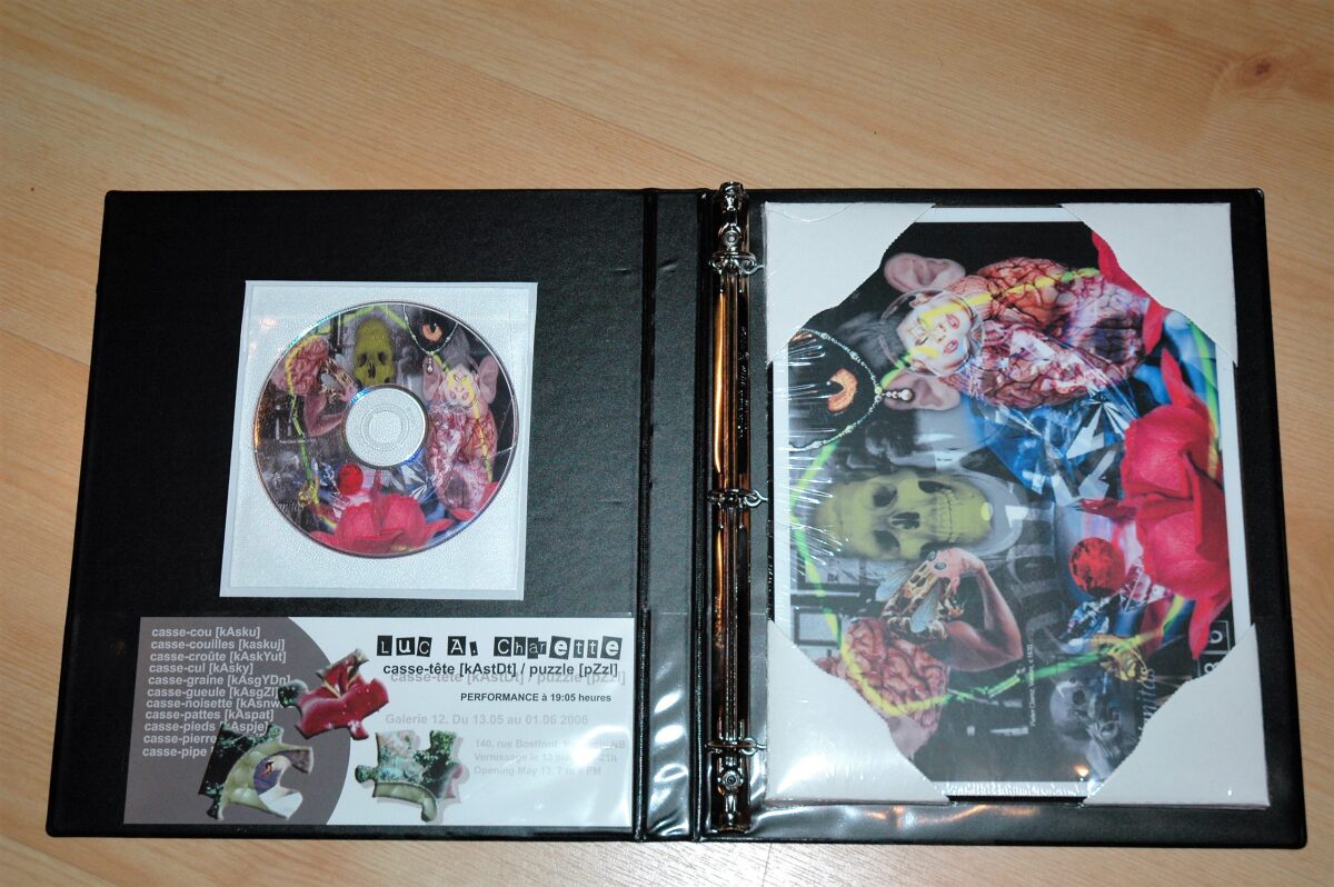 Casse-tête [kAstDt] / puzzle [pZzl ] détail