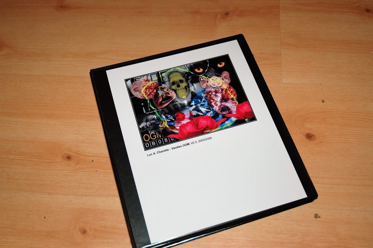 Casse-tête [kAstDt] / puzzle [pZzl ] détail