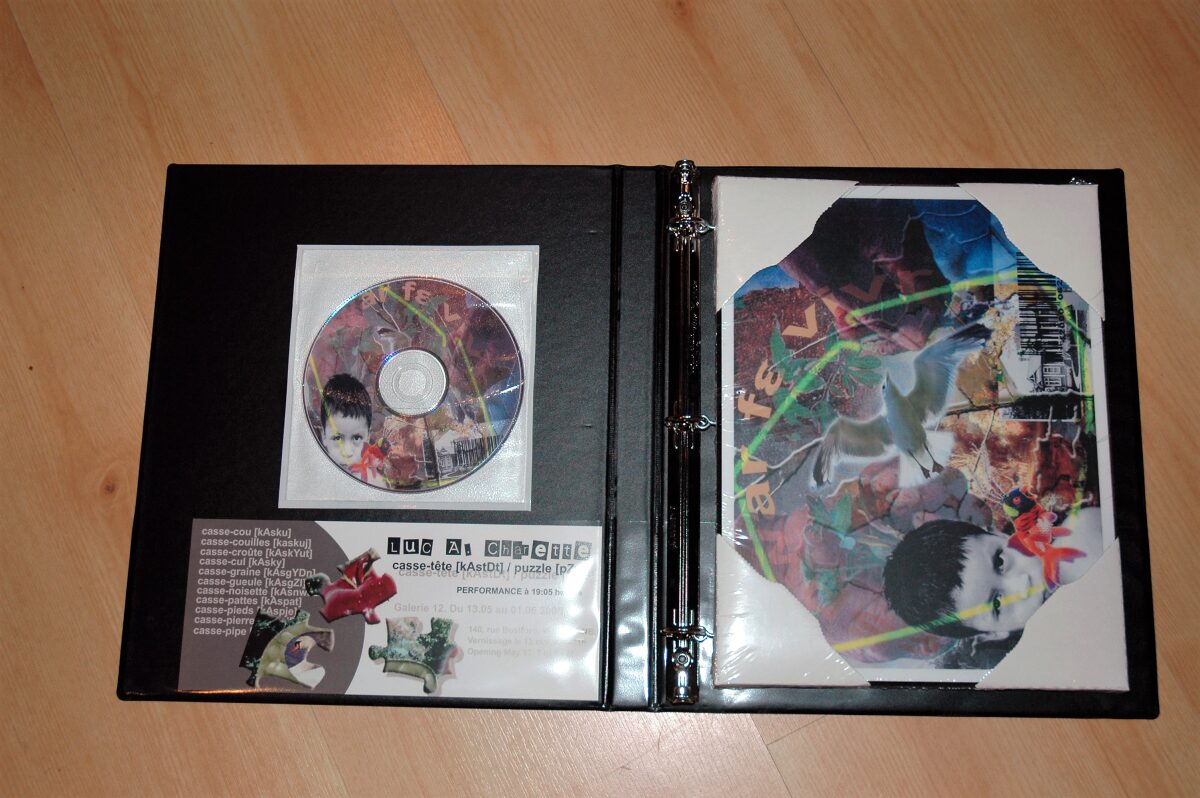 Casse-tête [kAstDt] / puzzle [pZzl ] détail