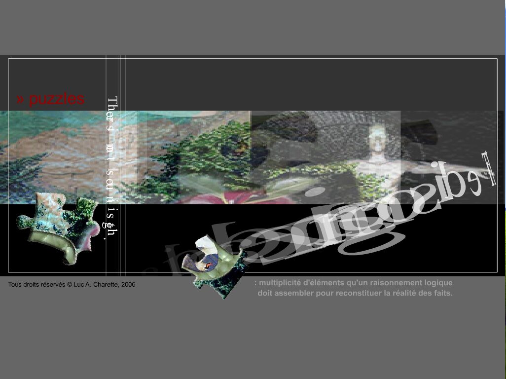 Casse-tête [kAstDt] / puzzle [pZzl ] détail