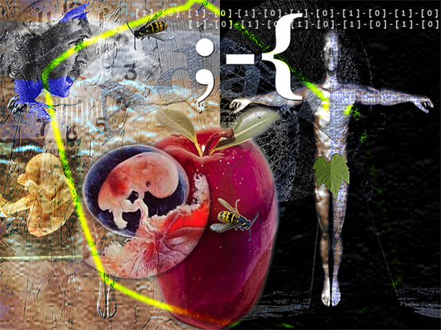 Casse-tête [kAstDt] / puzzle [pZzl ] détail