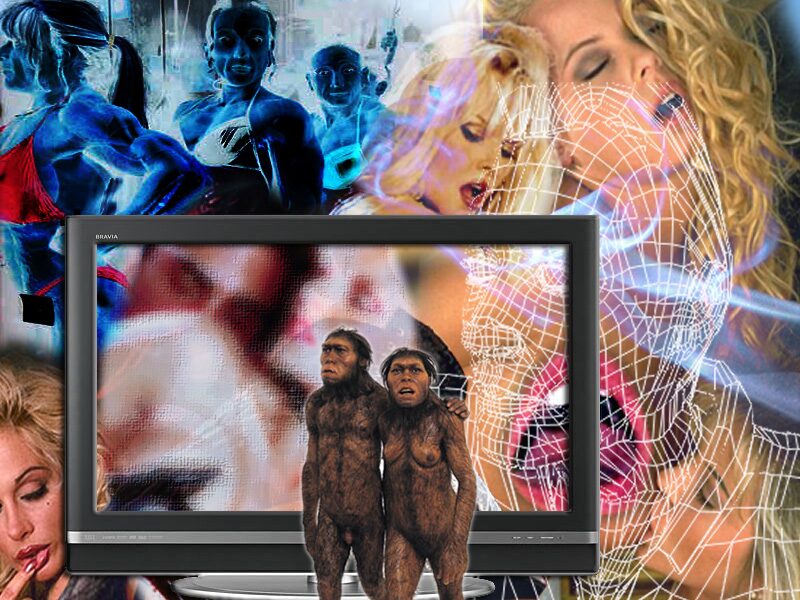 Casse-tête [kAstDt] / puzzle [pZzl ] détail