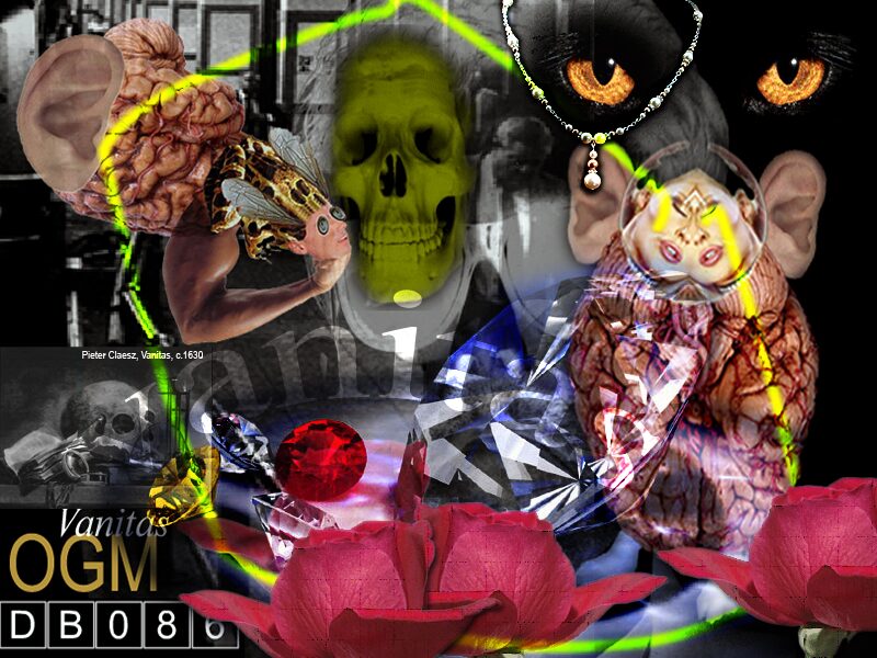 Casse-tête [kAstDt] / puzzle [pZzl ] détail