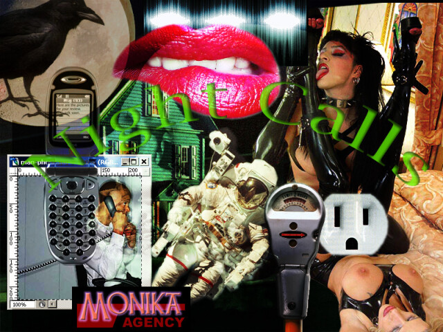 Casse-tête [kAstDt] / puzzle [pZzl ] détail