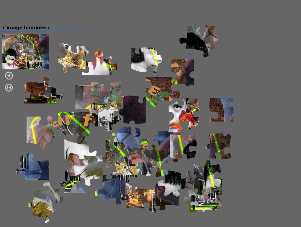 Casse-tête [kAstDt] / puzzle [pZzl ] détail