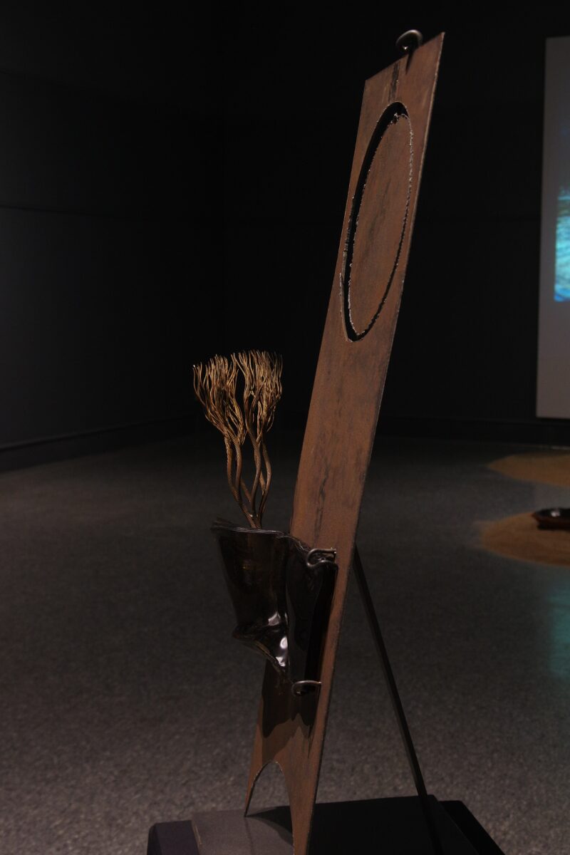 Reflections: World Water Day