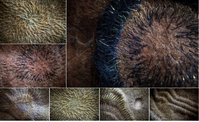 Magie intime (détails)