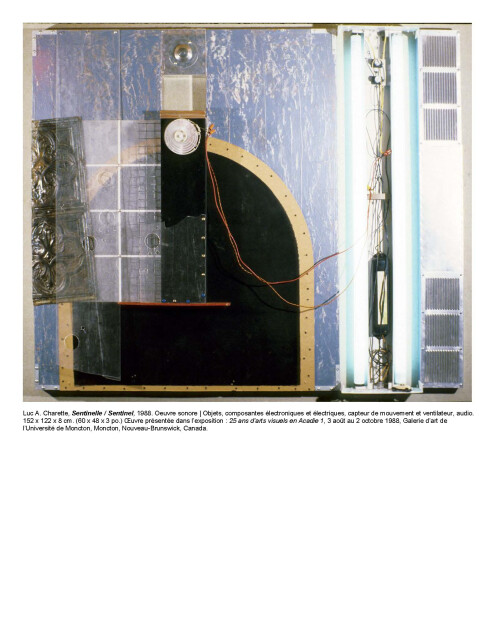 Sentinelle \ Sentinel