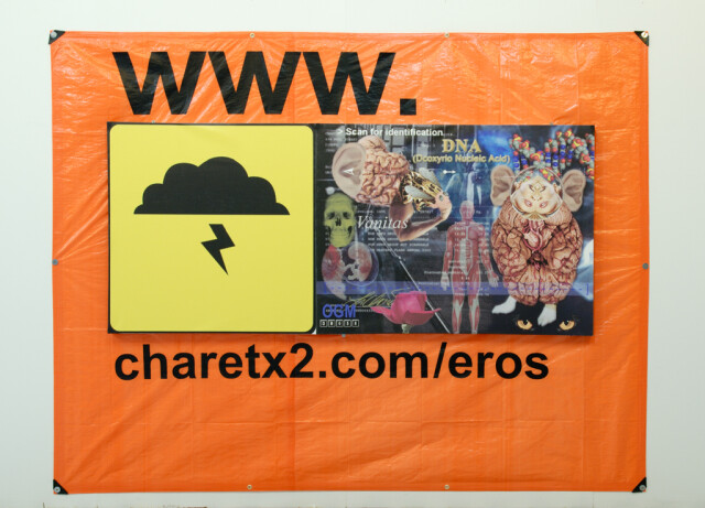 Détail - Médium : Impression aux jets d’encre sur toile, vinyle.