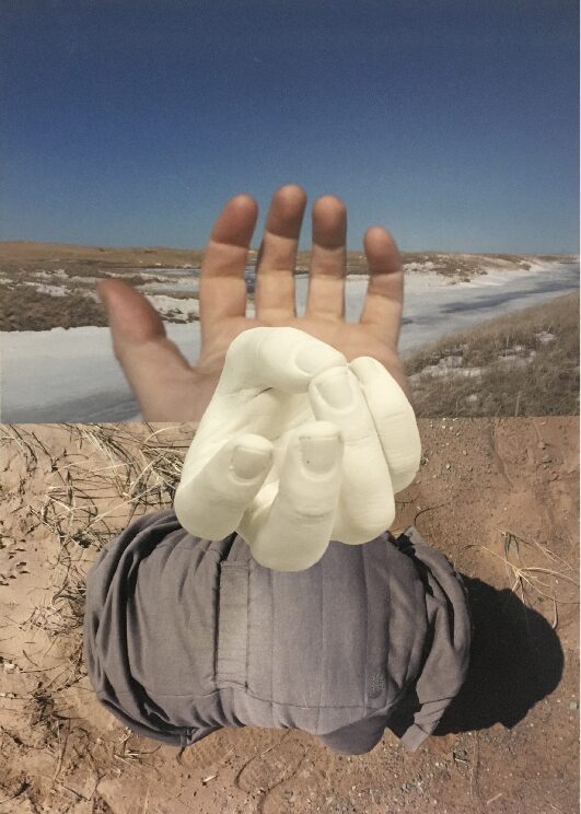 oeuvres avec photographies