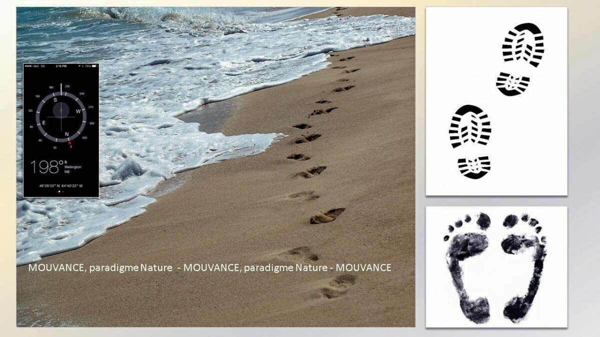 Mouvance no. 01 : Paradigme nature