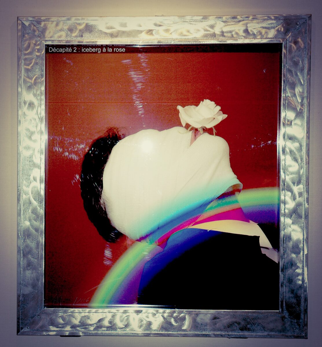 Casse-tête [kAstDt] / puzzle [pZzl ] détail